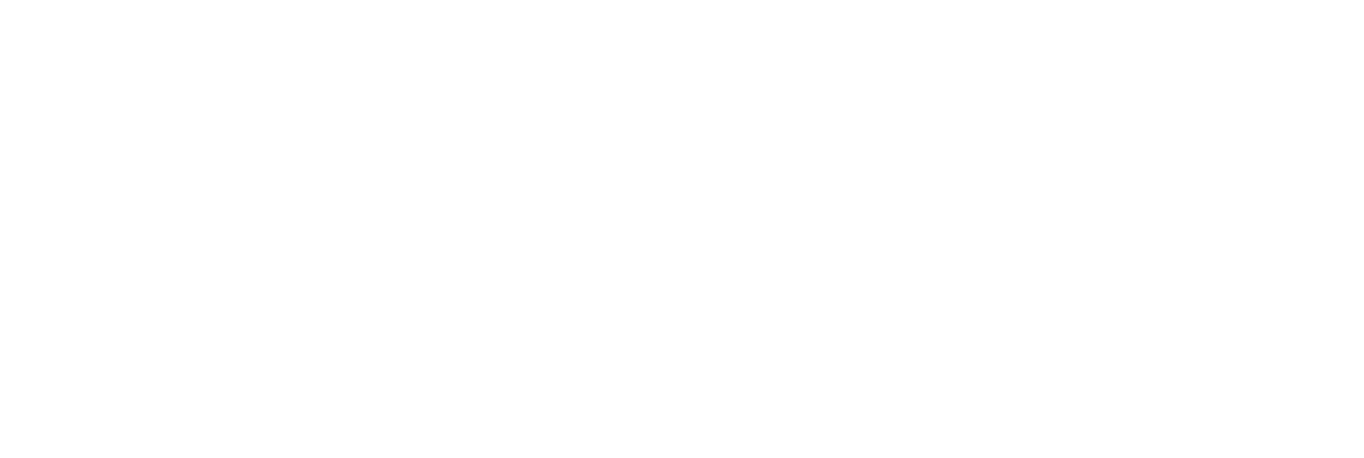 Flintec